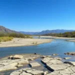 A dried riverbed and wilting plants indicative of climate change, representing the need for innovative solutions through AI.